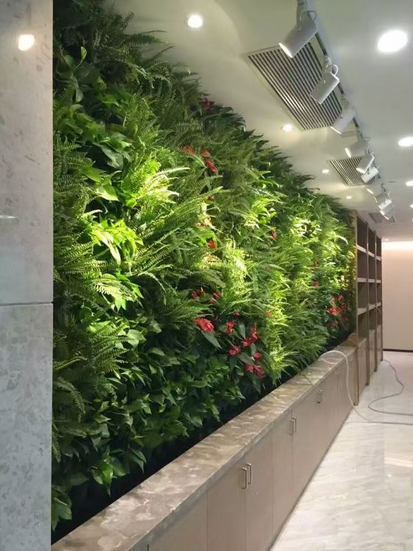 衢州 室内绿植景观  批发价格