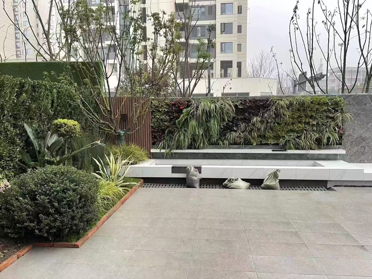 上海 室内绿植造景  厂家直供