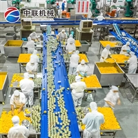 整套荔枝罐头生产设备 全自动葡萄罐头加工流水线