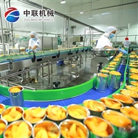 整套葡萄罐头生产设备 全自动沙果罐头加工流水线