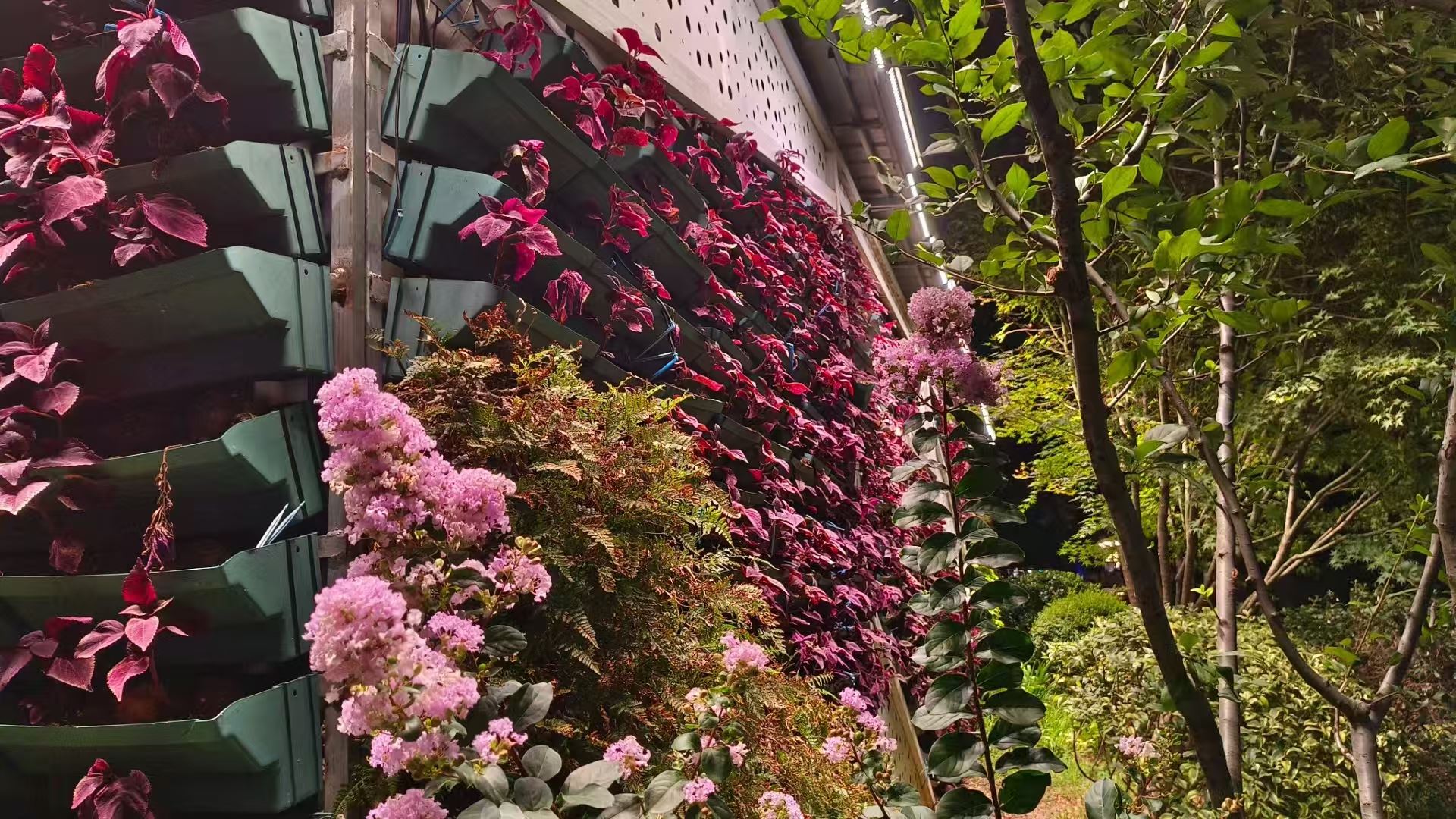 温州 室内绿植景观  批发价格