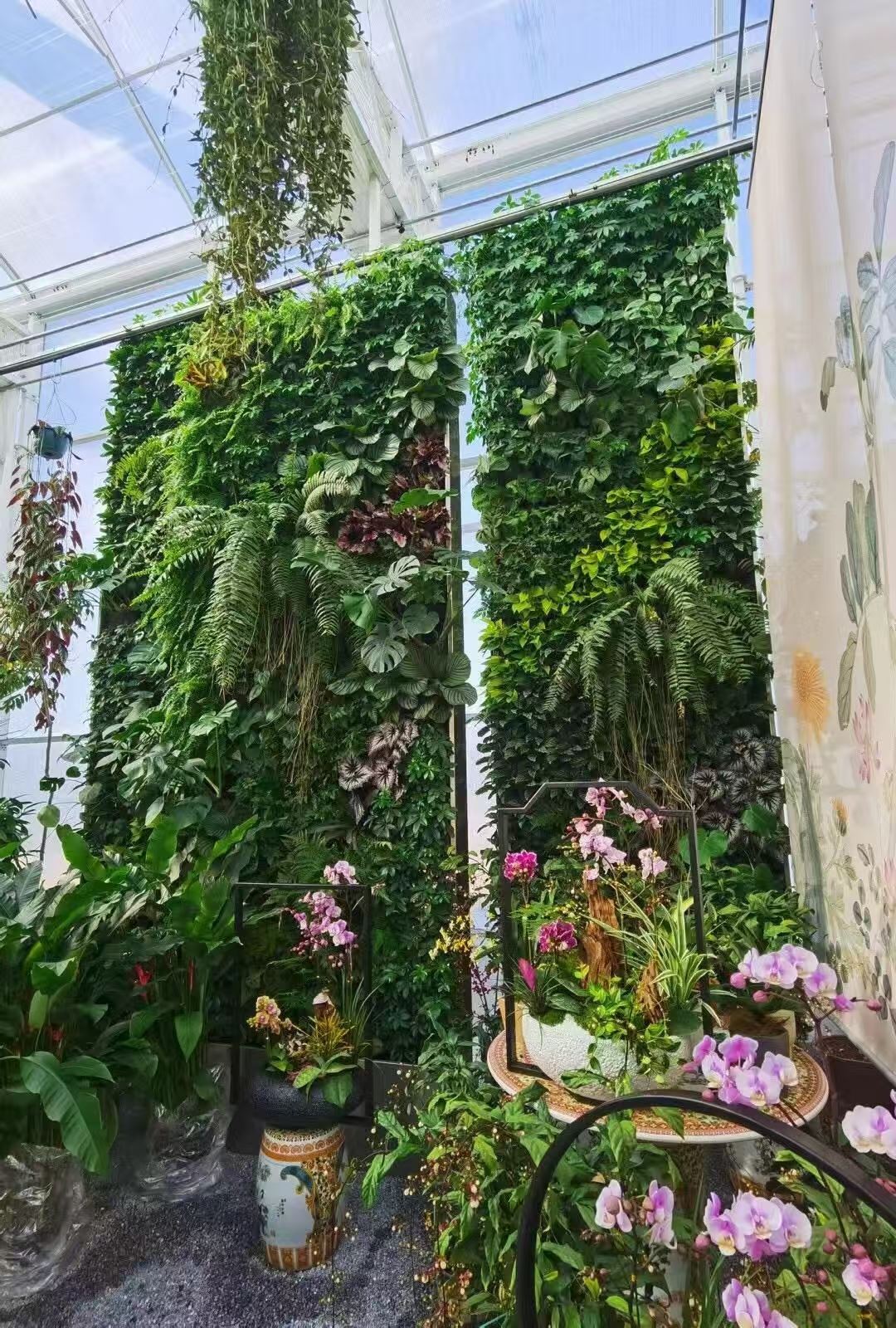 盐城 植物墙  免费设计安装