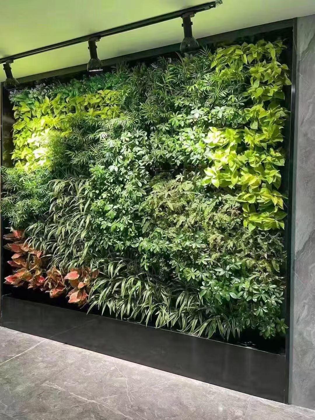 丽水 室内绿植景观  款式多样可定制