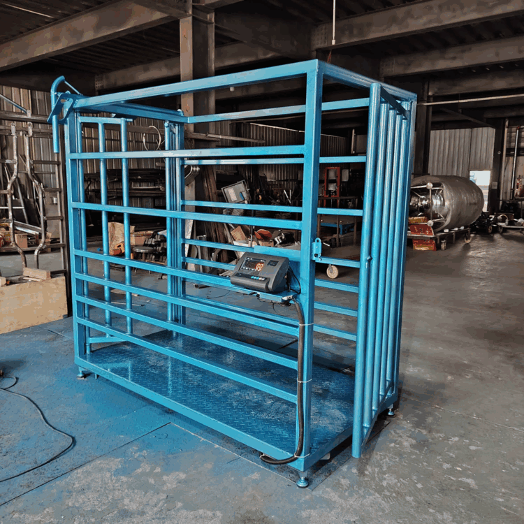 畜牧养殖场 牛用简易称重设备定制 奶牛场肉牛育肥场 自动称重系统
