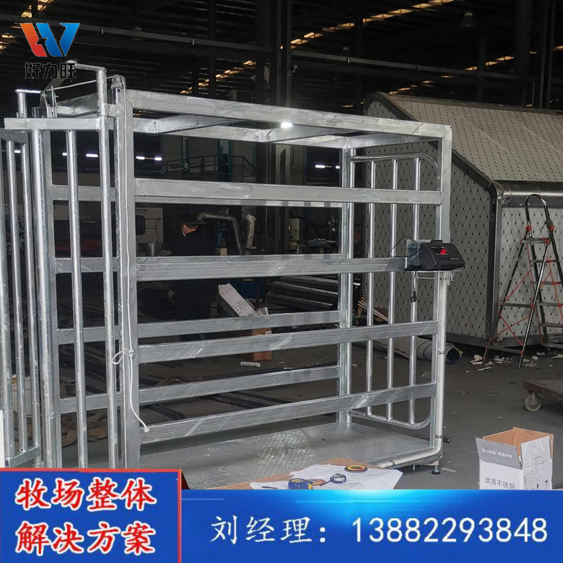 奶牛肉牛养殖场称重设备 牛用称重架 按需定制