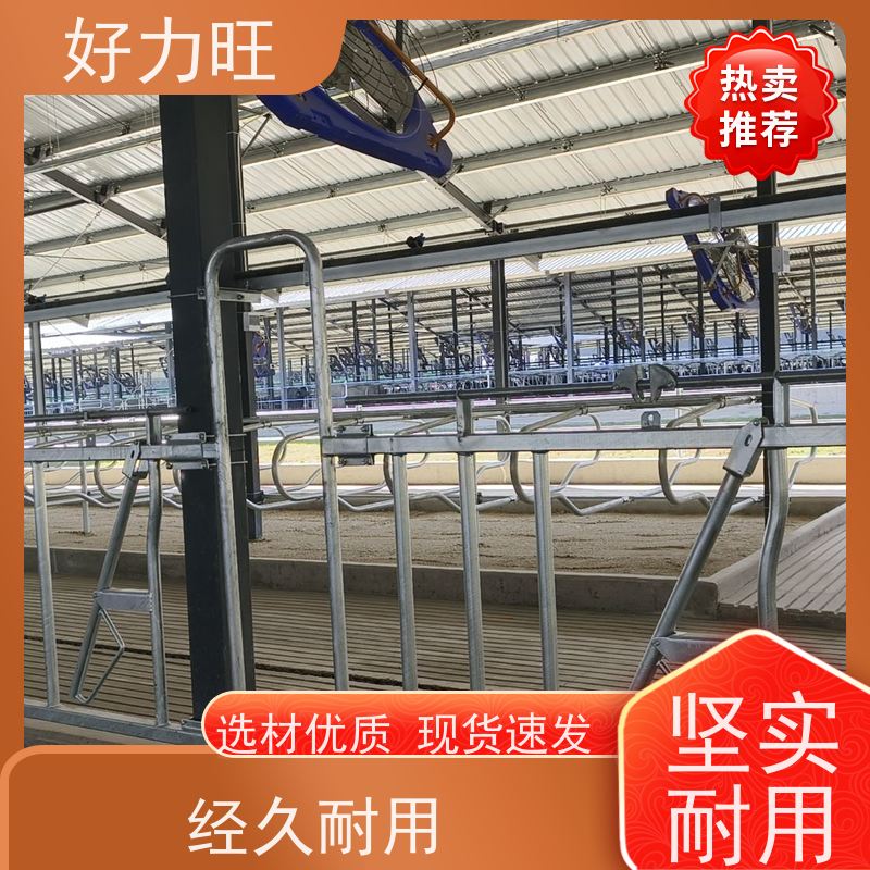 自锁式牛颈枷 养牛设备牛颈夹 畜牧养殖用锁牛工具 畜牧养殖设备