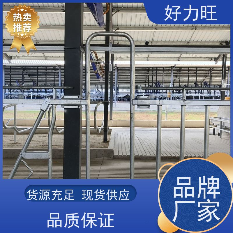 牛场牛颈枷 单开双开活位牛颈夹 加厚热镀锌养牛场畜牧设备