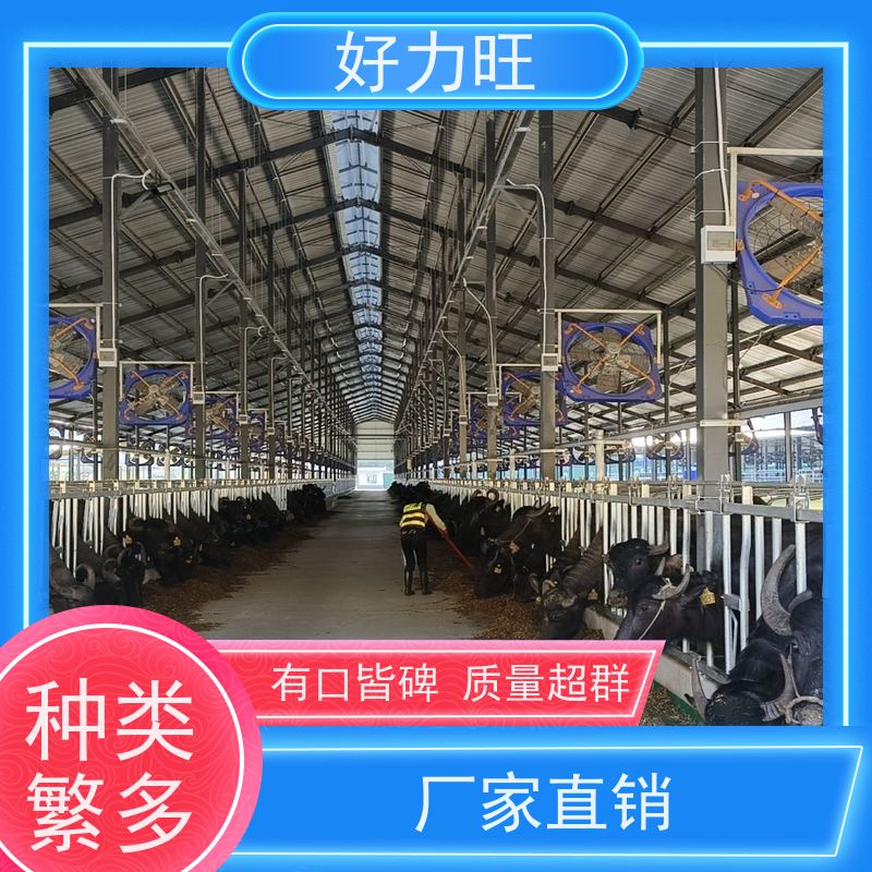 养牛自锁式牛颈枷 畜牧养殖设备 牛羊定位栏 支持定制