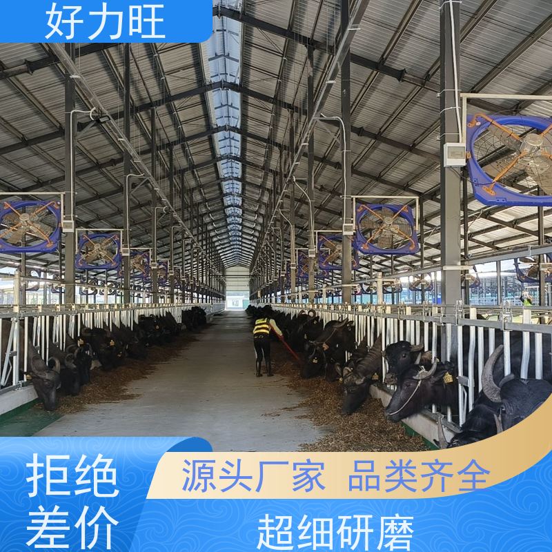 好力旺牧场设备热镀锌750型牛脖夹围栏供货商 新型牛颈枷