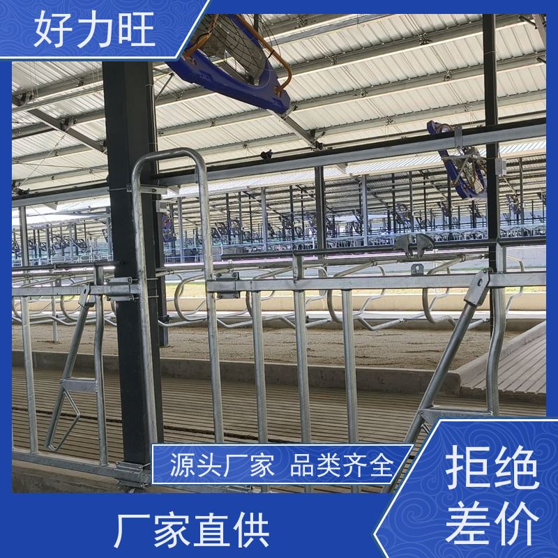 牛颈枷 供应牛卧床 防腐防锈 畜牧养殖养牛设备出售