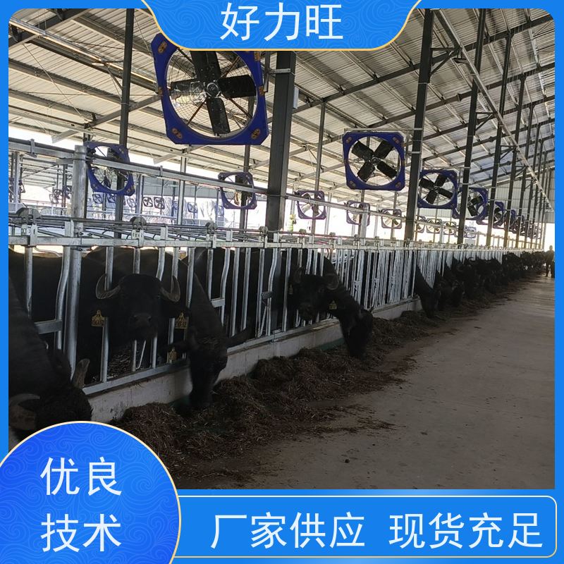 自锁式牛颈夹 新型加厚热镀锌牛颈枷 牛羊畜牧养殖设备可定制
