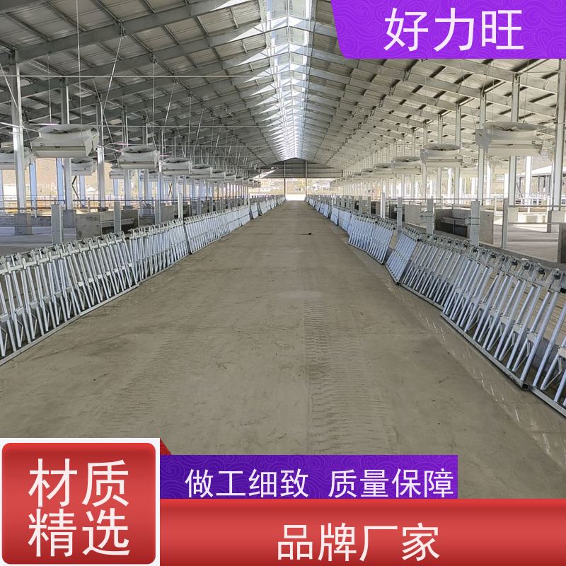双开牛颈枷 好力旺 耐腐蚀使用寿命长 畜牧养殖饲喂