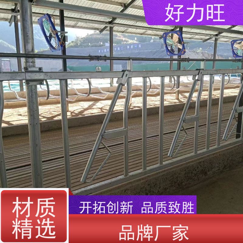 畜牧养殖 奶牛专用热镀锌牛场自锁式牛颈枷4米5位结实耐用防腐蚀