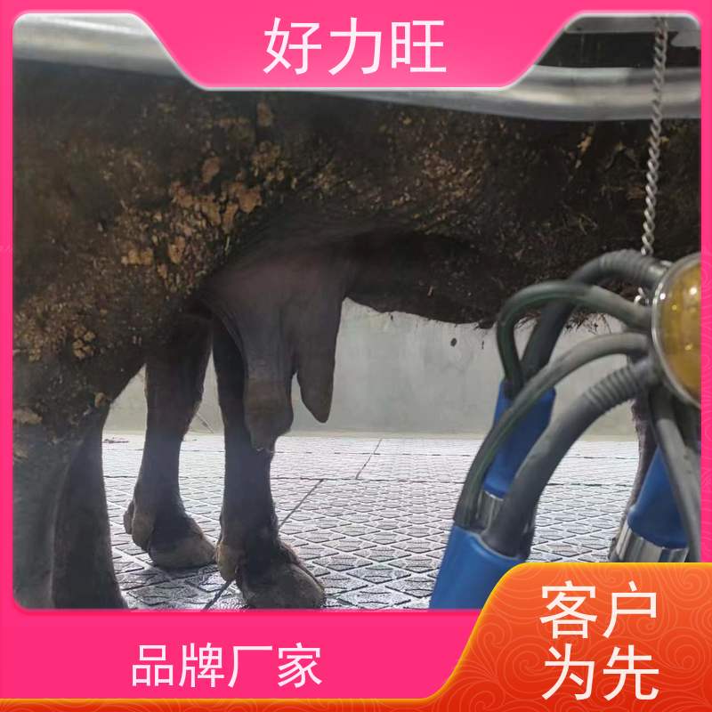 牛用奶牛骆驼小型吸奶器 移动牛奶便携式气压挤奶机