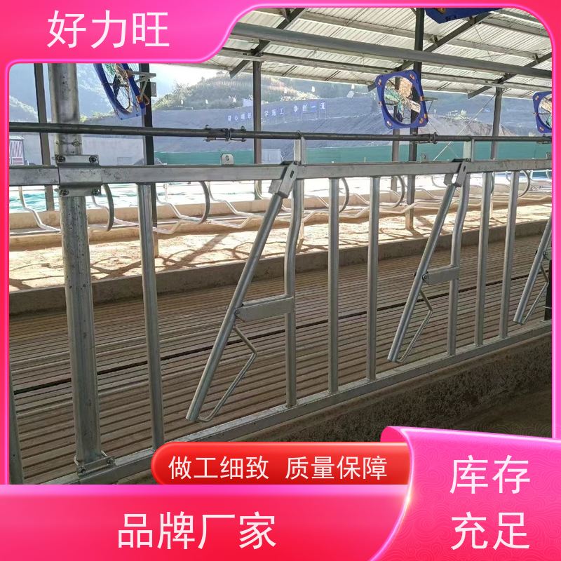 养牛设备牛颈枷 750型成牛用牛夹脖 热镀锌材质结实耐用牛颈夹