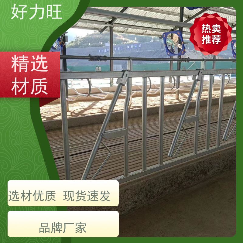 畜牧养牛设备好力旺自锁式热镀锌牛颈夹 现货6米规格牛颈枷