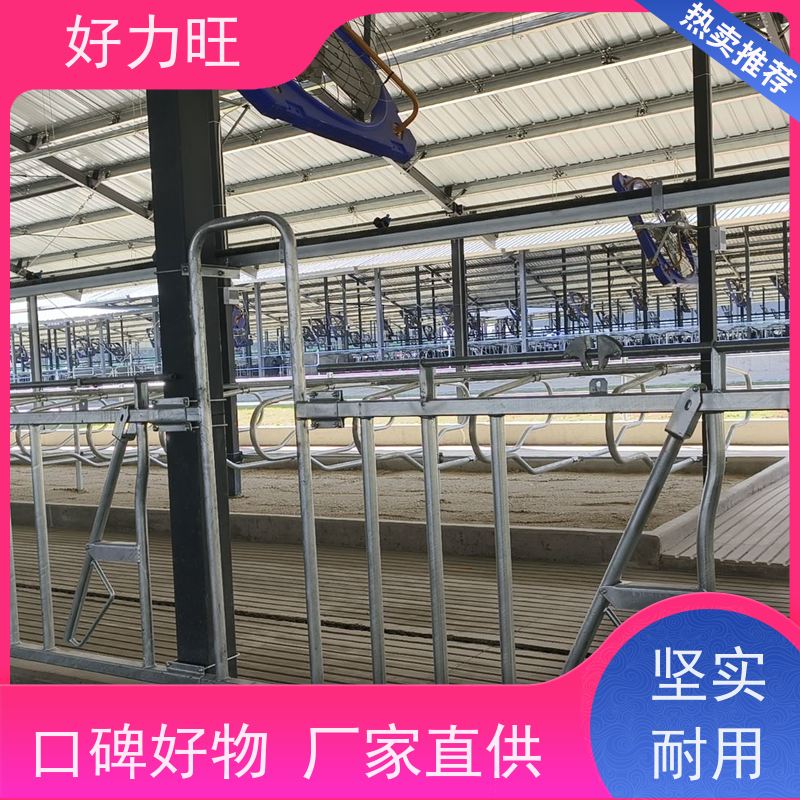 畜牧用牛颈枷 好力旺 养牛设备 养殖围栏网 定制加工