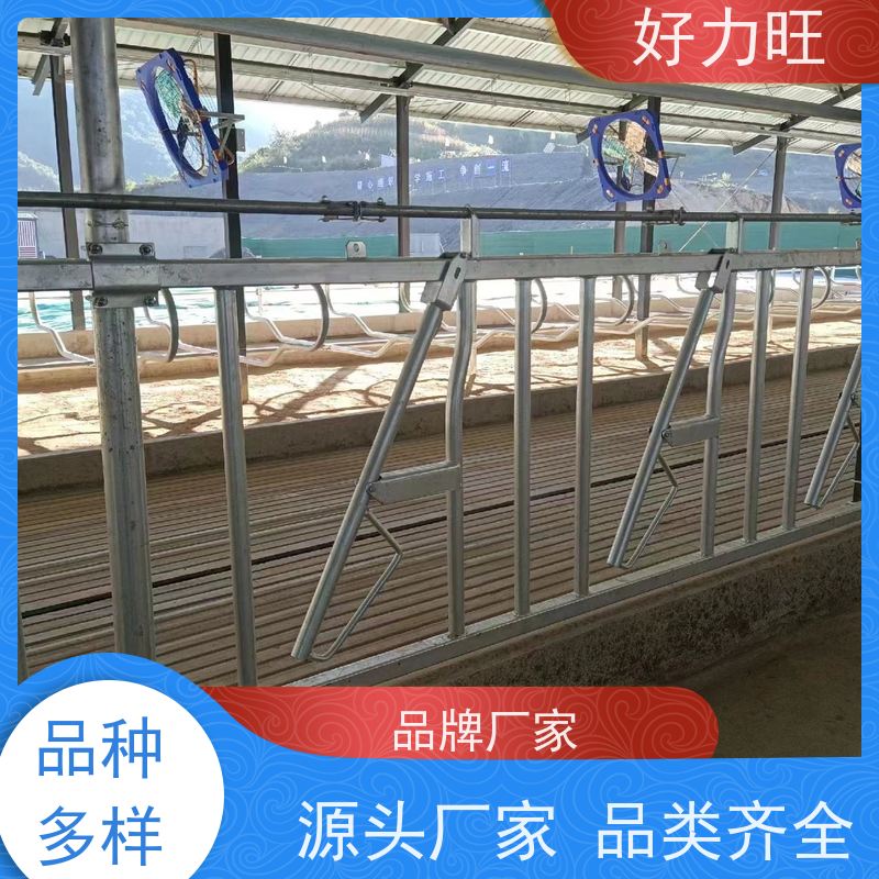 好力旺 自锁式牛颈枷 大角牛养殖牛颈夹 畜牧养殖饲喂