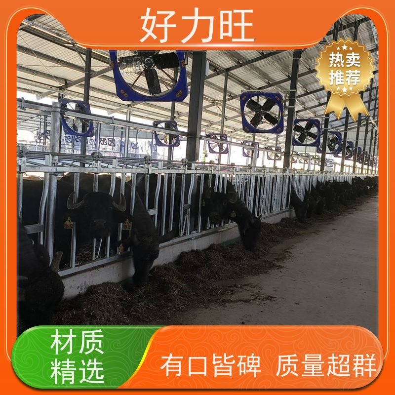 奶牛设备 新型牛颈枷 灵活开合 一牛一位 热镀锌牛颈夹