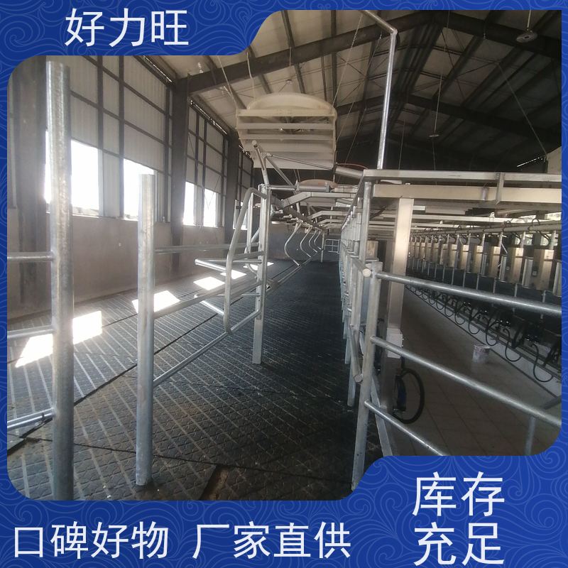 定制奶牛用智能脉动挤奶机 高效省力节能不锈钢挤奶器