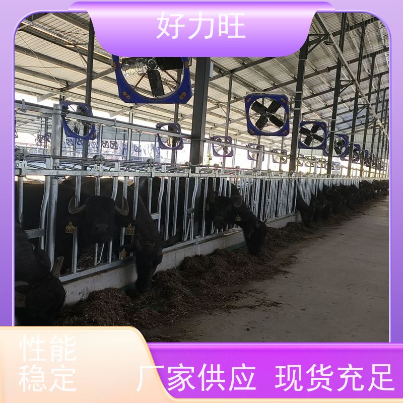 加厚热镀锌牛颈枷 固定牛采食防止牛打架定位栏