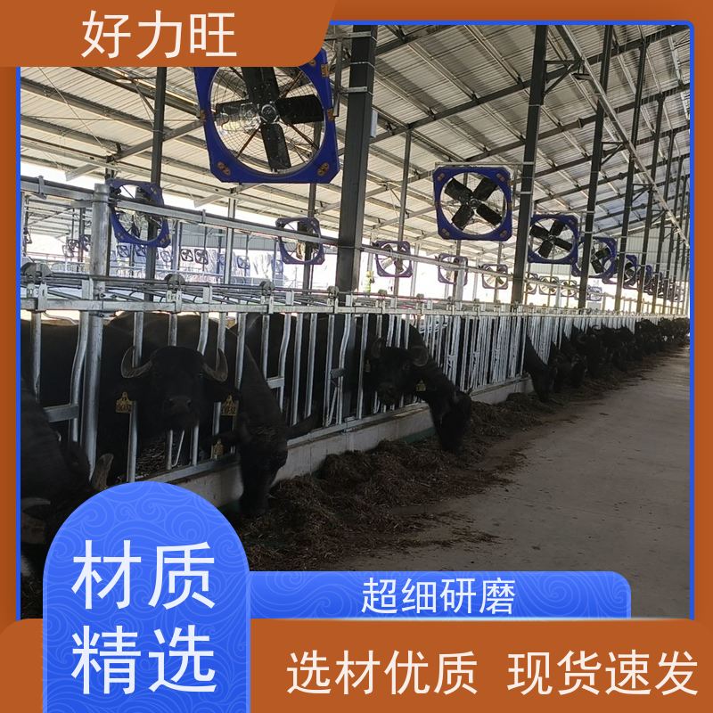 牛颈夹750型 热镀锌材质 养牛场设备 6米8位牛颈枷支持定做