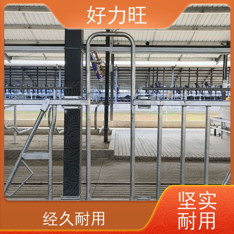 好力旺BMR-NJJ牛颈枷 畜牧业机械镀锌管饲喂设备