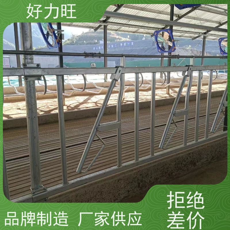 养殖牛颈枷 好力旺 畜牧养殖饲喂 可调节牛颈夹规格