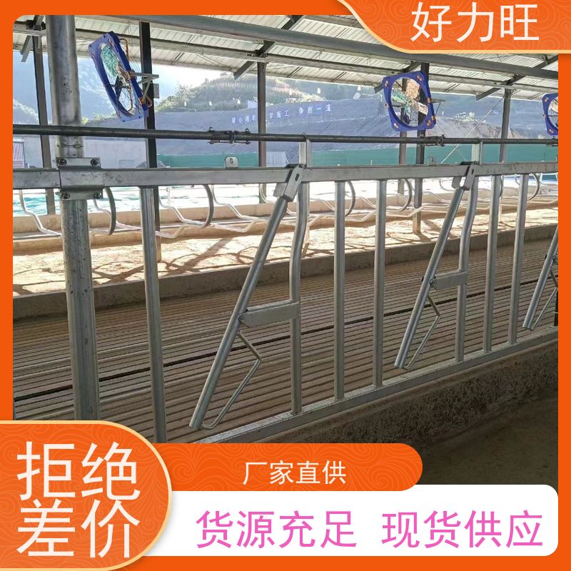 养牛设备热镀锌加厚打针防疫 防抢食的犊牛颈枷 可定做