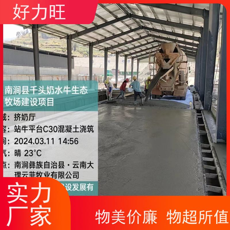 脉冲奶牛家用吸奶器 泵式小型牛奶单通挤奶机