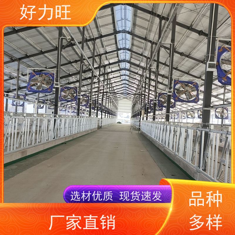 奶牛牧场专用自锁式牛颈夹 生产厂家畜牧养殖设备牛颈枷