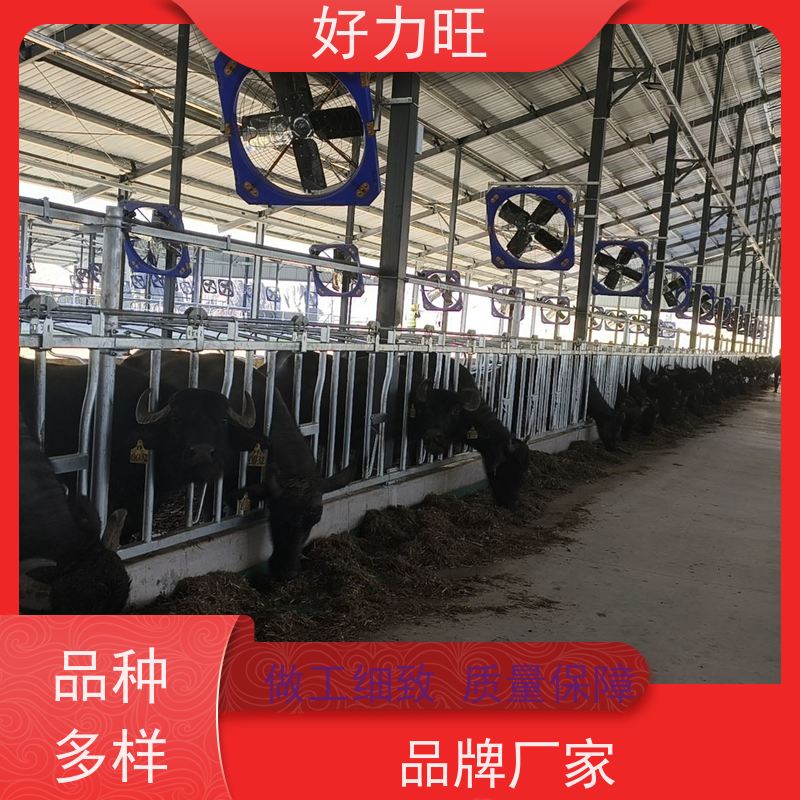 牛场牛颈夹 肉牛场加厚 牛颈枷 育牛防疫畜牧养殖 好力旺