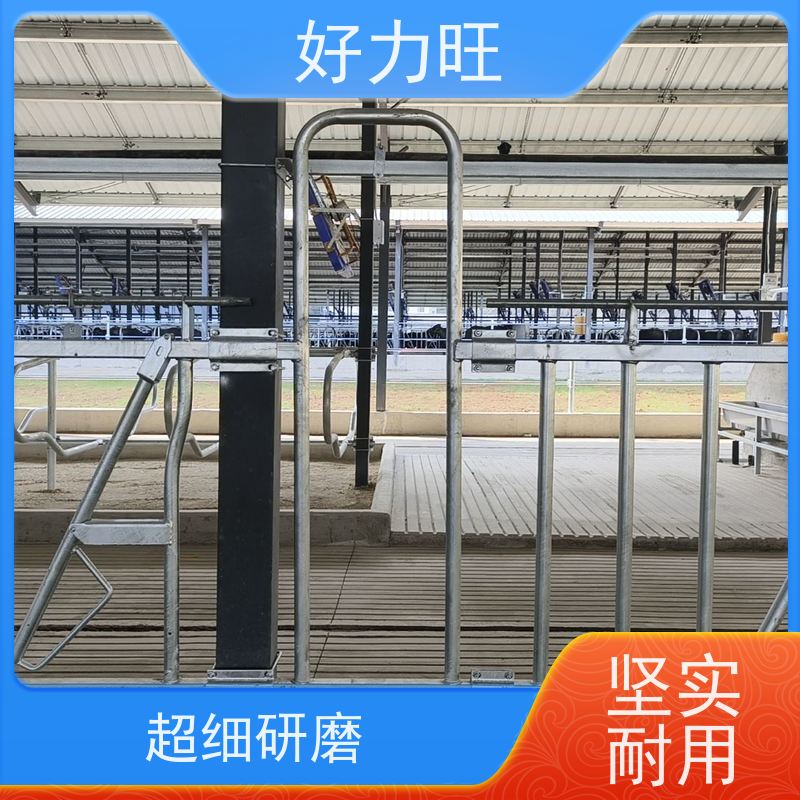 畜牧用牛颈枷 好力旺 方便灵活牛场设备 热镀锌养牛场