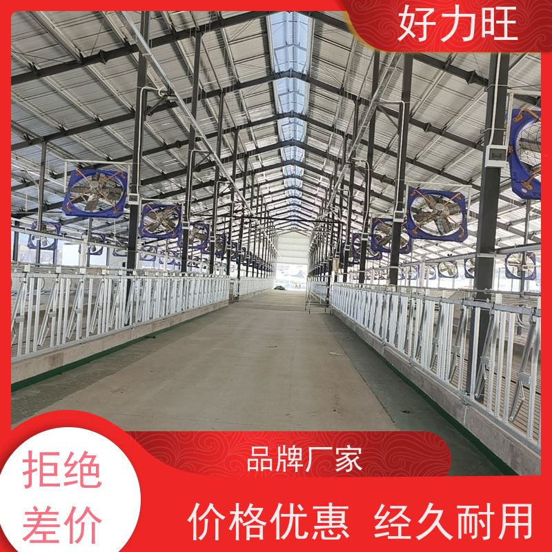 畜牧养殖设备一牛一位热镀锌自锁式大牛定位栏6米8位牛颈枷