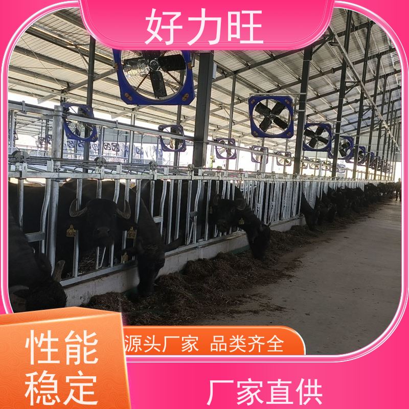 奶牛养殖用牛颈枷 加热镀锌管牛颈夹 畜牧养殖用限位锁牛工具