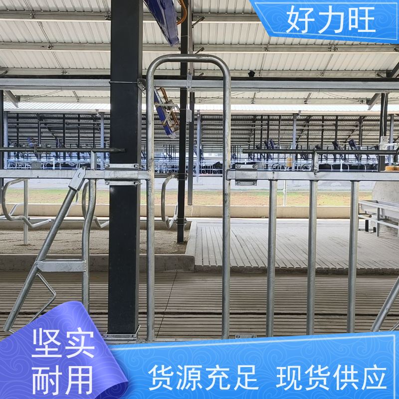 好力旺 奶牛养殖用牛颈枷 加热镀锌管牛颈夹 单开双开6米7位8位