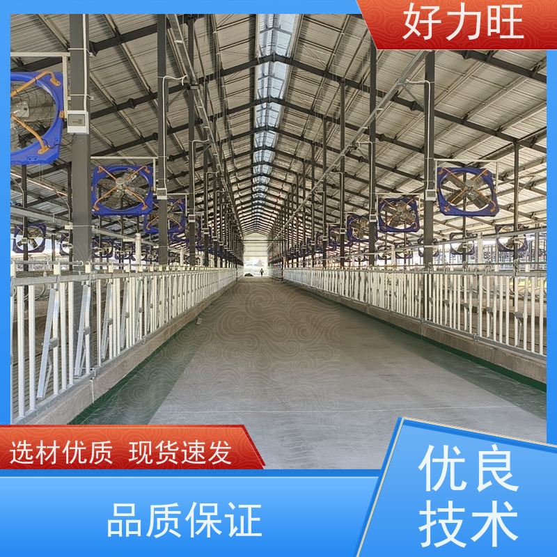 牛颈枷 固定牛只牛卡脖 加热镀锌管 防疫锁牛器 畜牧养殖设备