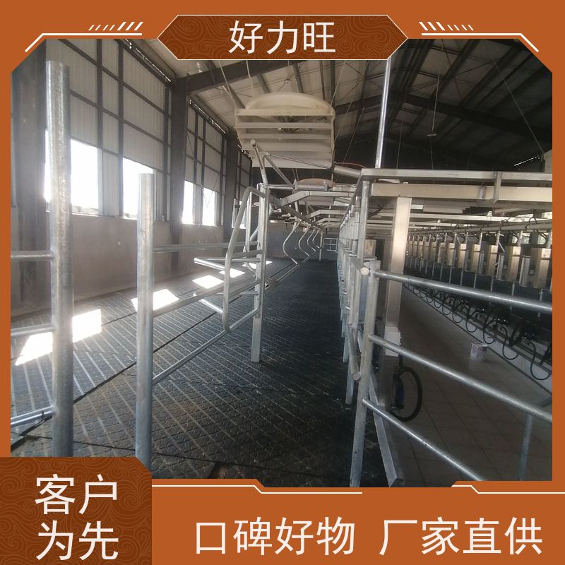 奶水牛场鱼骨式挤奶机脉动进口活塞式吸奶器真空吸奶机 奶厅建设