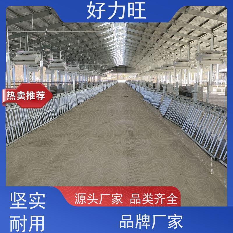 专业牛羊养殖设畜牧用牛颈枷 结实耐用多种规格饲喂隔栏牛颈夹