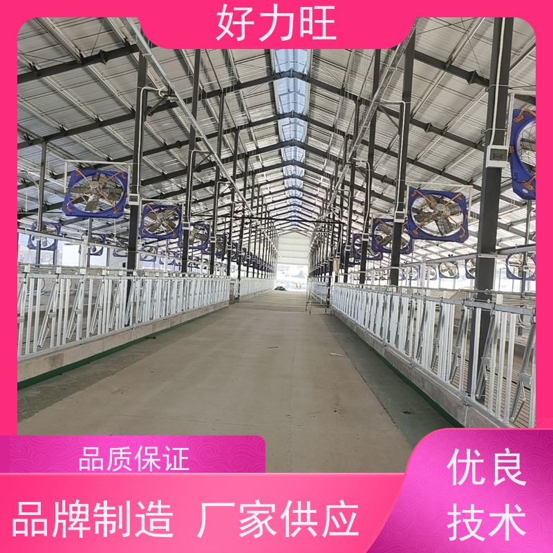 自动化养牛设备 热镀锌牛颈夹 大小牛可用多规格自锁式牛颈枷