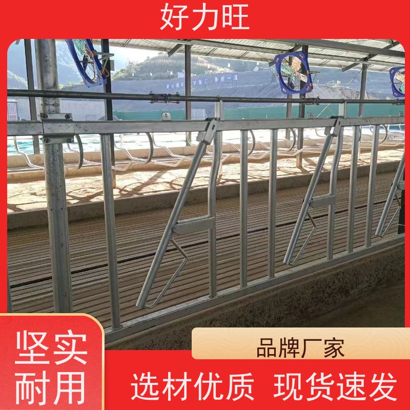 热镀锌钢管牛颈枷 6米6位双开牛颈夹 自锁式牛场养殖设备