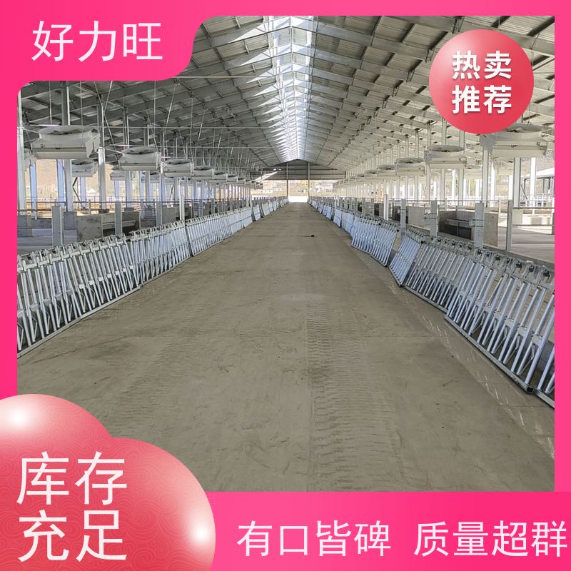 大型养牛场自锁式牛颈枷 6米8位 热镀锌锁牛栏 结实耐用