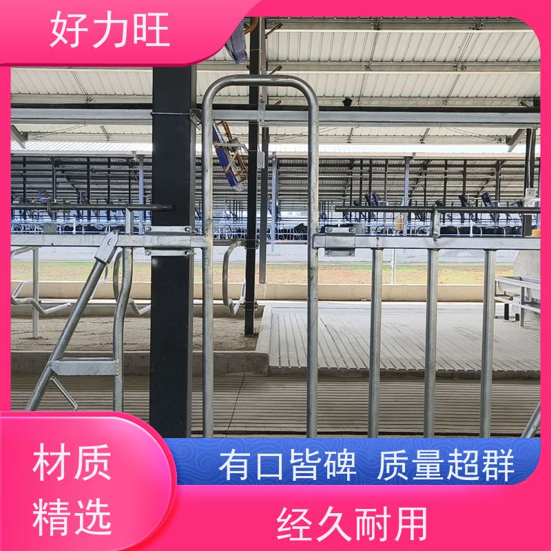 牛颈枷 6米8位定制 好力旺 畜牧用牛颈夹 现代化养殖设备