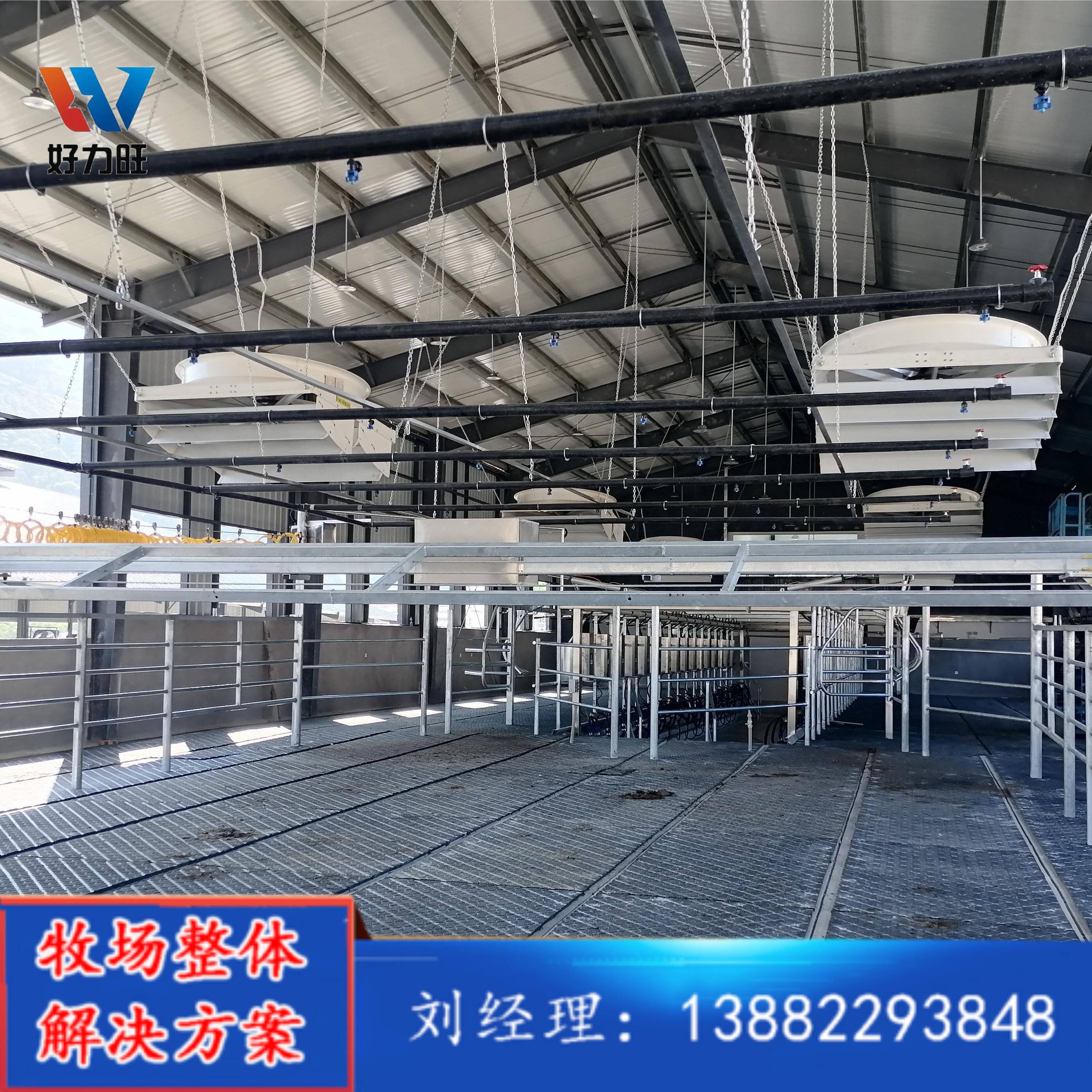 规模奶牛养殖场场奶厅赶牛器 自动赶牛设备 好力旺定制赶牛通道