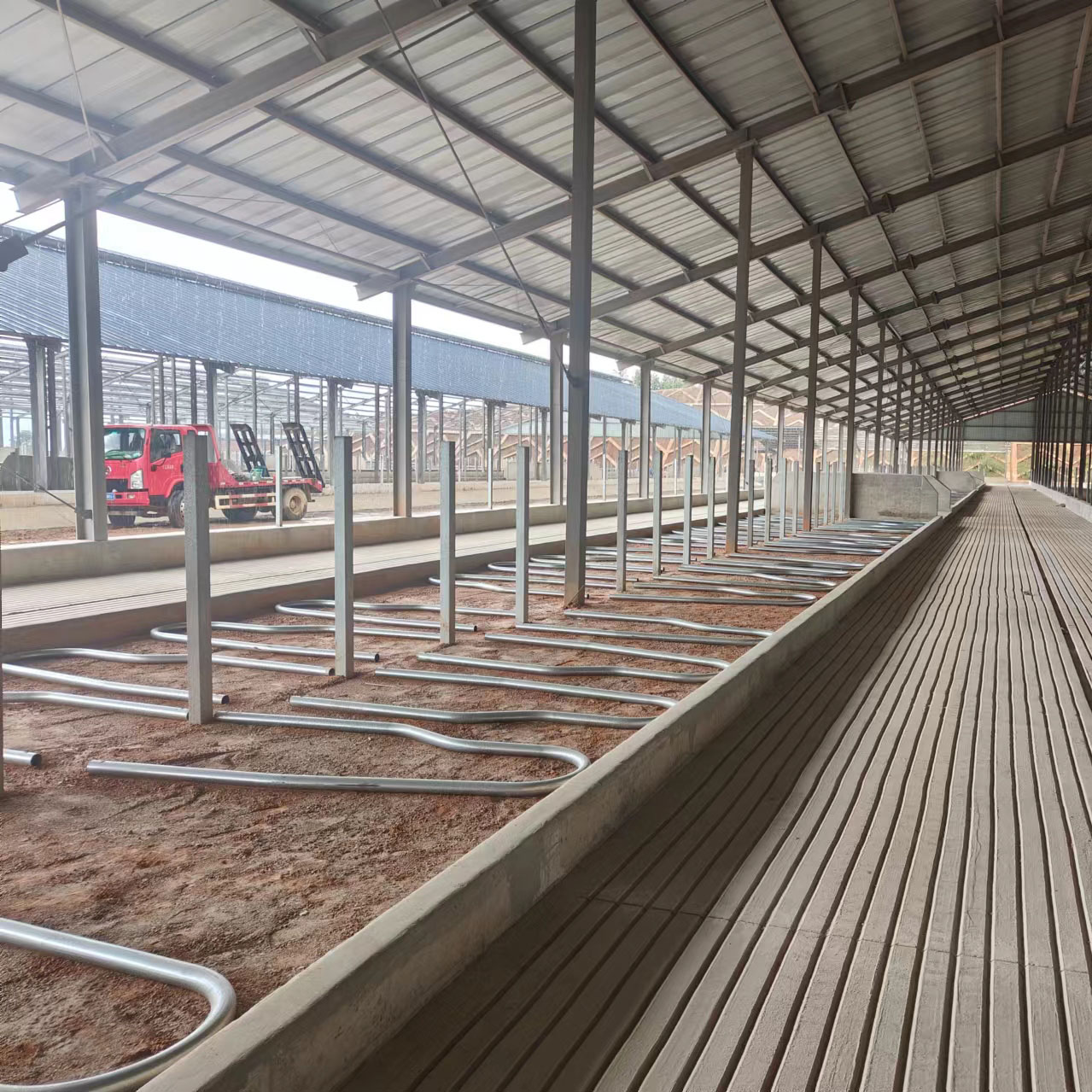 现代化养牛场 畜牧养殖设备生产厂家 好力旺支持定制安装 整体服务