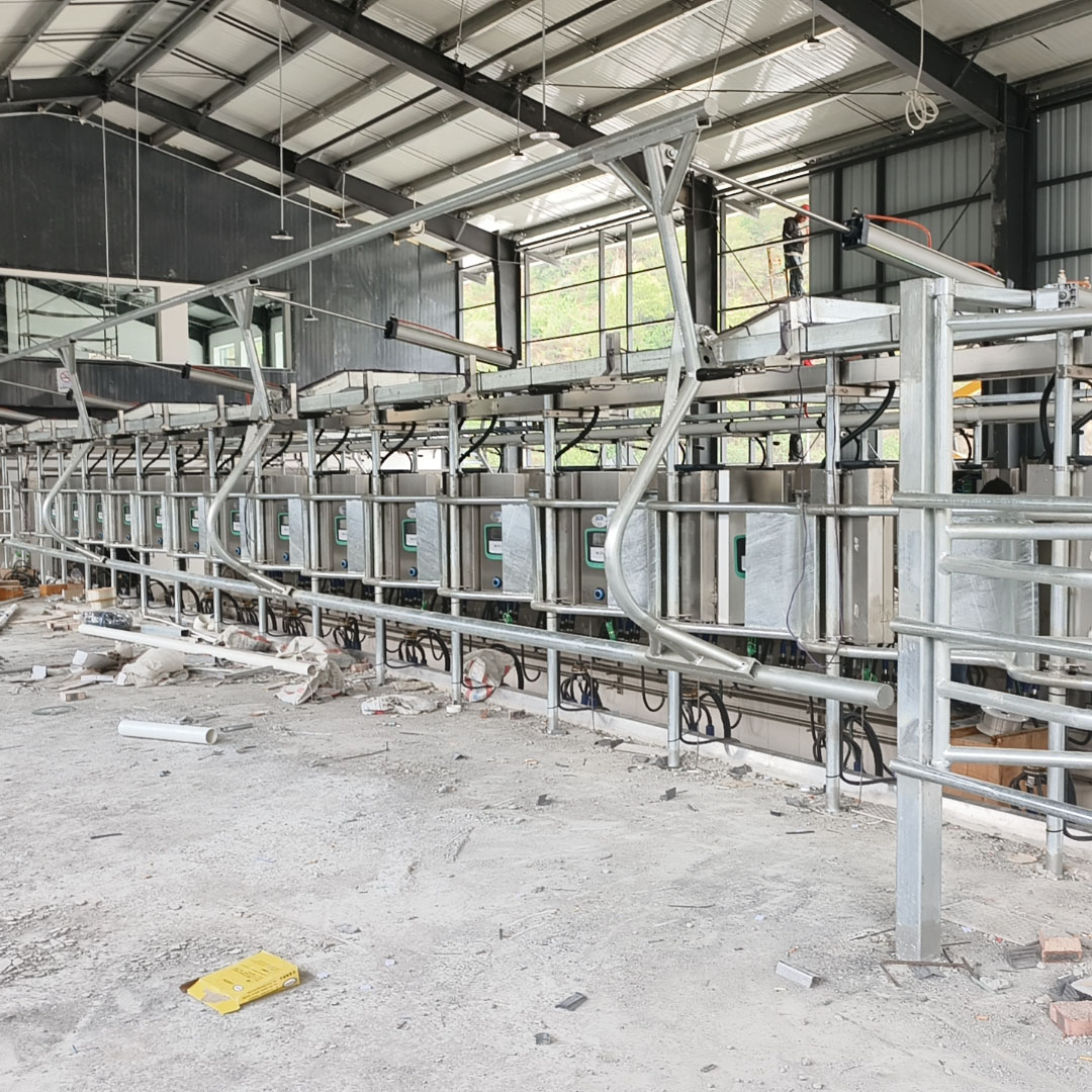 安乐福SCR挤奶机 奶牛场养殖设备 中小型牧场 鱼骨式挤奶站位厅