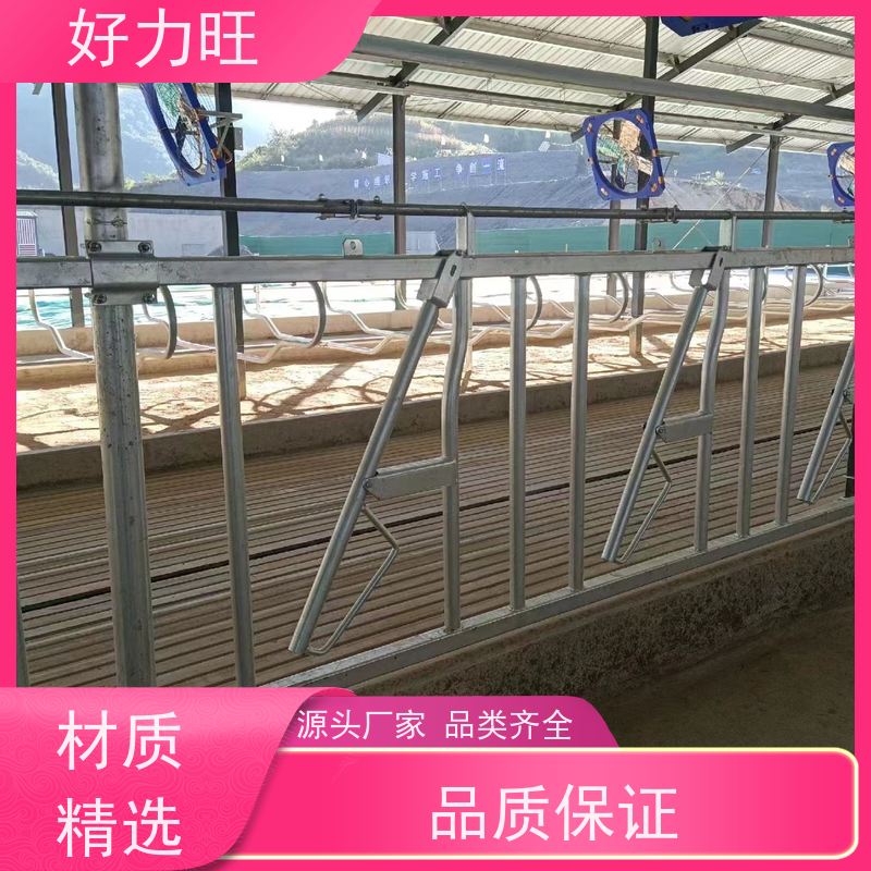 畜牧用牛颈枷 好力旺 便于管理一牛一位 有序进食