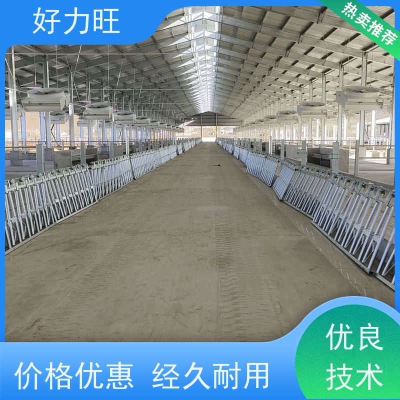 畜牧用牛颈枷 养牛设备牛颈夹 牛卧床 牛场隔栏门