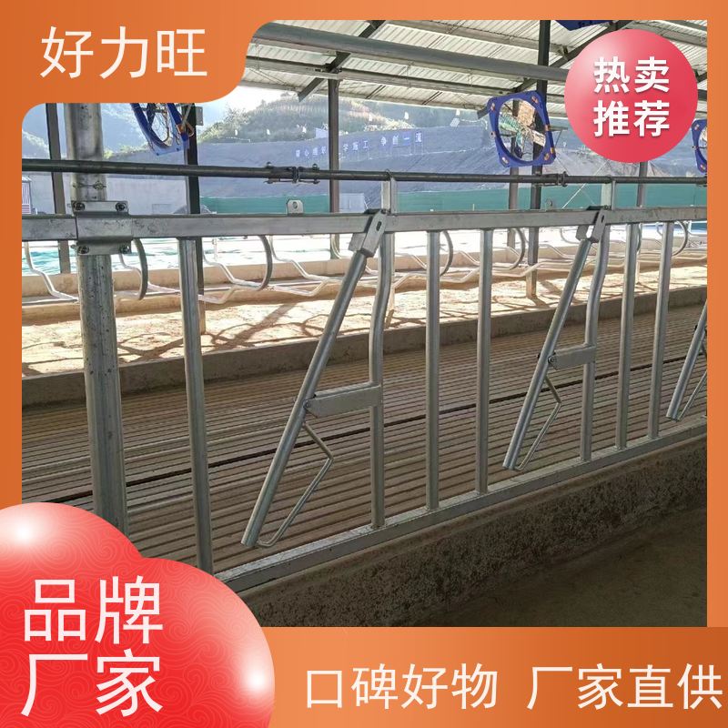 奶牛场牛颈枷 自锁式牛颈夹 一牛一位牛脖夹 畜牧养殖设备