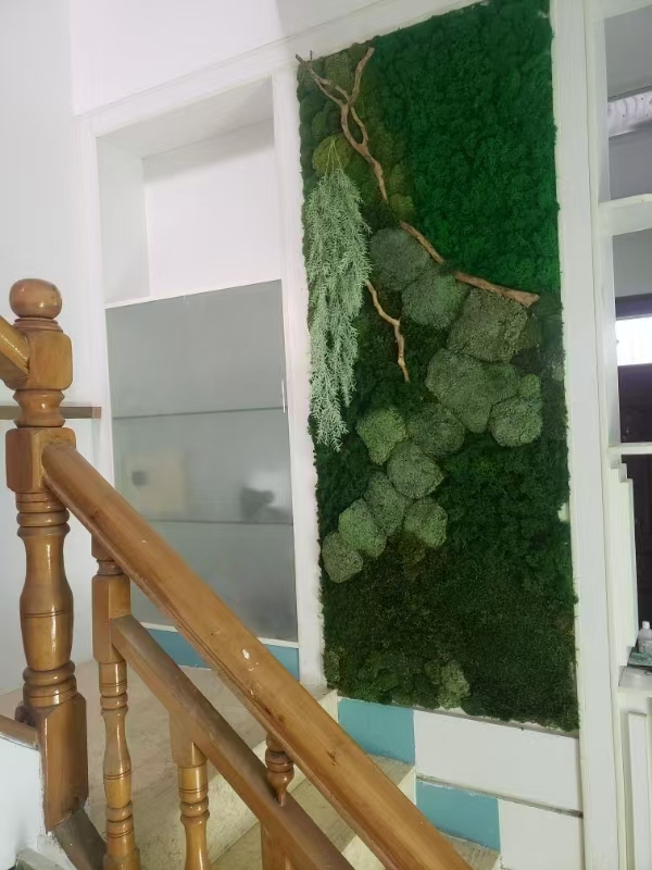 江苏 苔藓地毯  厂家价格